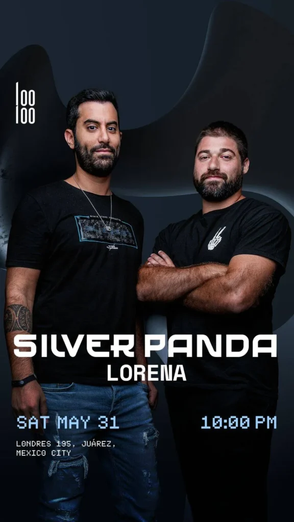 SILVER PANDA by Looloo