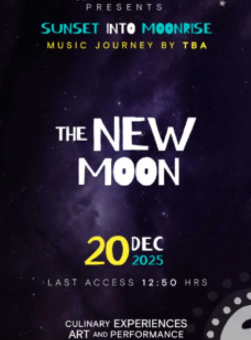 THE NEW MOON @ PAPAYA PLAYA PROJECT