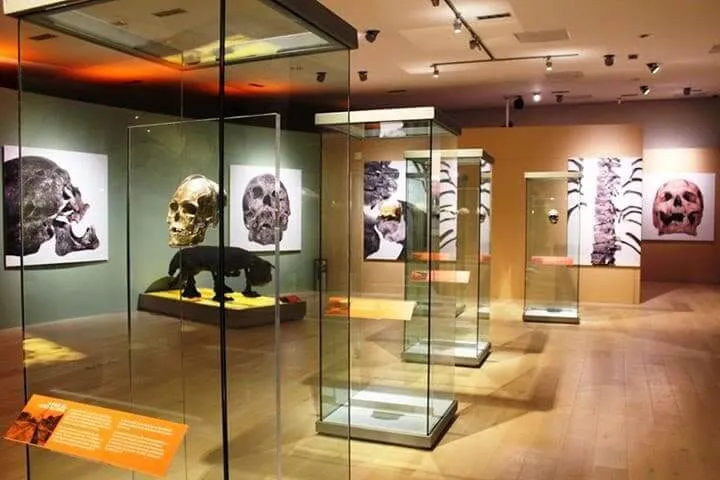 museo maya de cancun